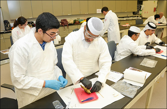 Local and International High School Students Explore Careers in Medicine at WCM-Q Summer Programs