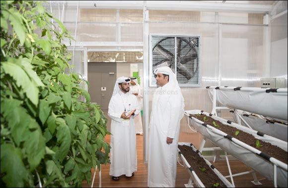 QDB participates as the development sponsor during AgriteQ 2018