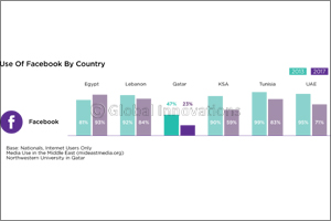 Qatar's Unique Use of Digital Media