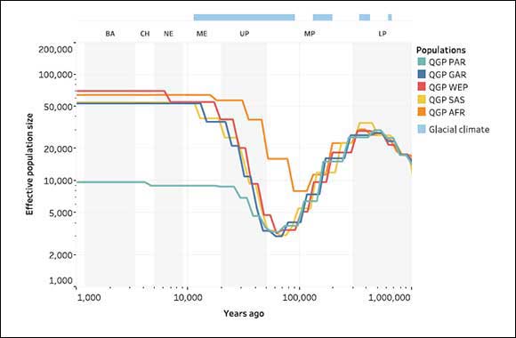 Qatar Genomics Study Unlocks Secrets of the Past to Help Shape Future of Healthcare for Millions