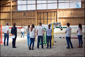 NB & Associates Brings Innovative Equine-Assisted Training to the UAE: Equicoaching Takes Center Stage at ADIHEX 2025