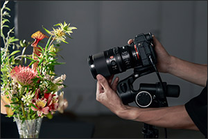 Sony Middle East and Africa and Modern Home Launch FE 100mm F2.8 Macro GM OSS in Qatar: First Medium ...