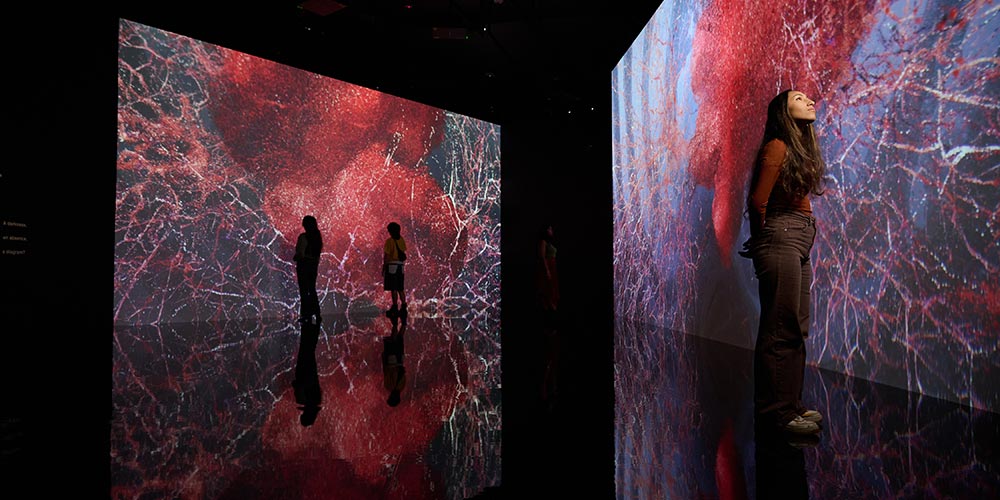 Northwestern University in Qatar's Media Majlis Museum, in partnership with ACMI, announces 'All That Is Unseen' by Marshmallow Laser Feast � the acclaimed artist collective's firs
